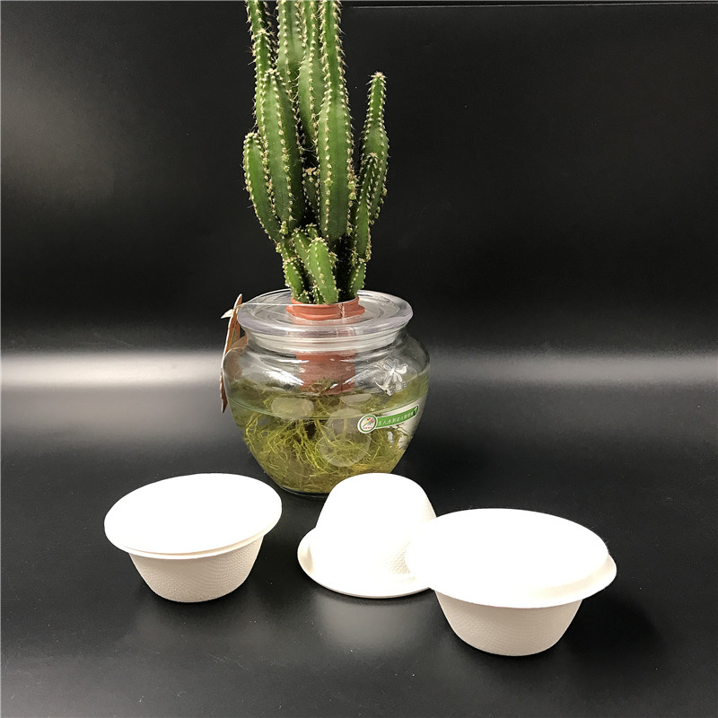 Taza de salsa de bagazo de 2 oz