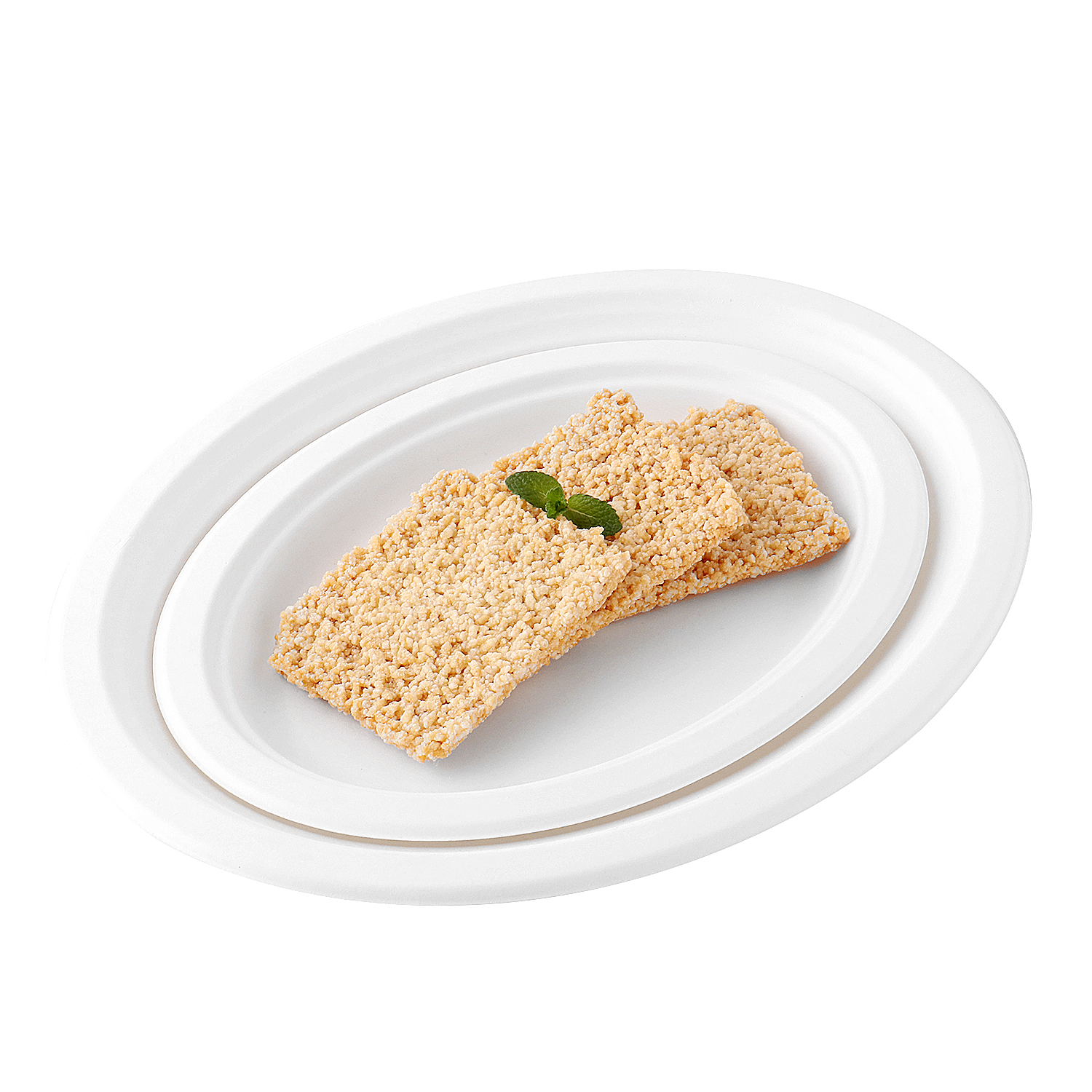 plato de comida biodegradable (2)