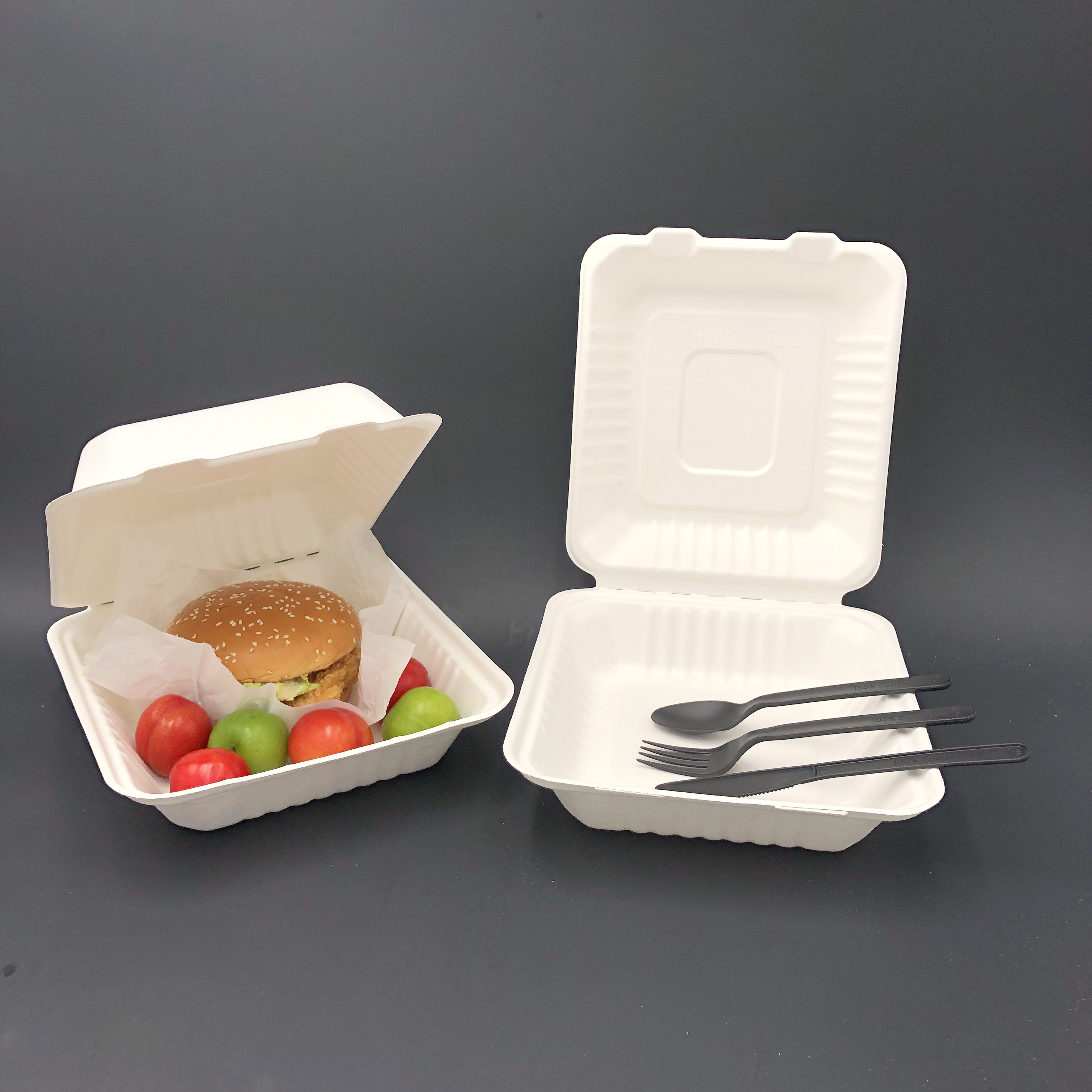 Caja de concha biodegradable (2)