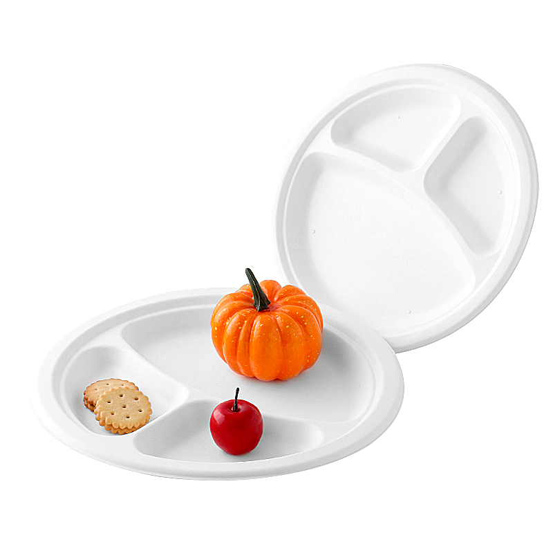 Plato redondo compostable de 10 pulgadas