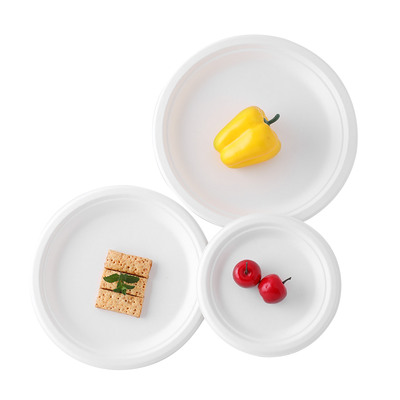 plato redondo de bagazo desechable