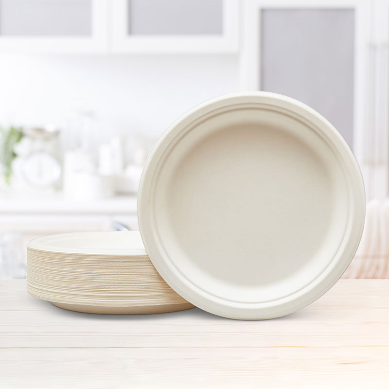 Sugarcane Plate